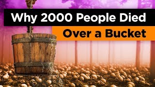 Why 2000 People Died Fighting Over a Bucket