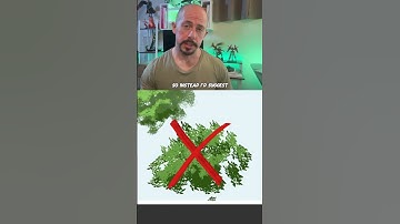 how to paint trees  #digitalart #arttheory #beginnerarttips #color