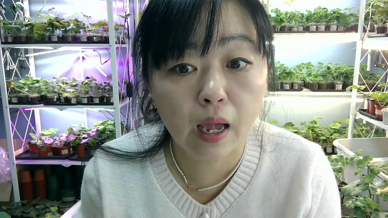 제라의꿈  새해 인사드립니다