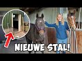 De NIEUWE STAL is KLAAR! 🤩   Eerste reactie van de PAARDEN! 🐴 *Vlog*