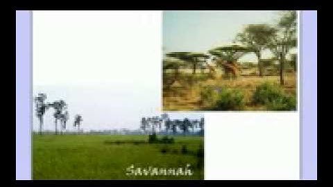 Introduction to Ecology Part 1