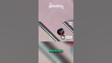 Master Guitar Fretboard Modifications Like a Pro!