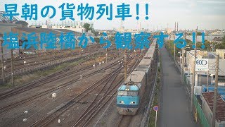 2019/05/18 [貨物列車] 早朝の貨物列車