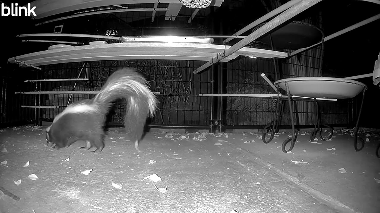 Another night another clean up job