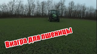 Подкормка озимой пшеницы препаратом V-AGRO осенью трактором DEUTZ-FAHR 115G