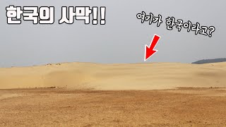 한국의 사막이라 불리는 곳에서 발견되는 놀라운 생물들! 저도 너무 신기해서 한참을 봤네요