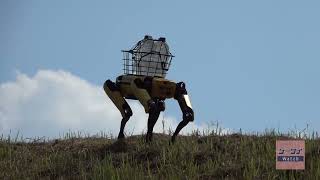 急斜面を登る四足歩行ロボット