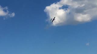 EG AIRCRAFT MX2 with DLE120| Lorenzo Legittimo
