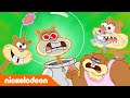 SpongeBob | 30 MENIT momen teraneh Sandy!  | Nickelodeon Bahasa