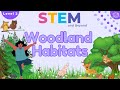 Woodland habitats ks1 year 2 science   stem home learning