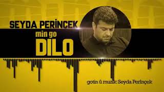 Seyda Perînçek Min Go Dilo