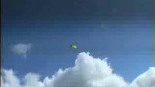 Hayley Rose Skydiving