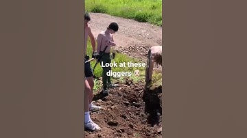 Thumbnail of Diggers get to work #memes  #slavery #memes #meme