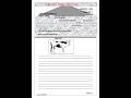 Grade 4 English Composition Opener Term 1 Exams 2025