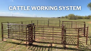 Cattle Working System | SETUP and Walk Through