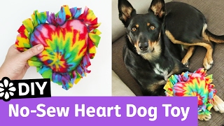 5 Easy to Make DIY Dog Toys [No Sew, Recycled materials] – DFW Craft Shows