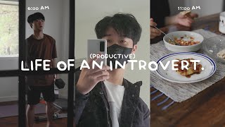 introvert vlog | productive summer week, remaking our gym and errands