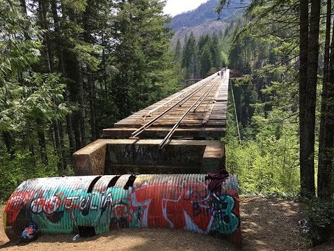 Trip to the Vance Creek Bridge and the High Steel bridge, Mason County, Wa, USA.