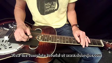 Dobro Lessons with Joe Wilson - Rakes