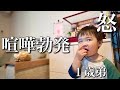 雛祭り準備で揉める姉弟！拗ねる弟とあしらう４歳姉。