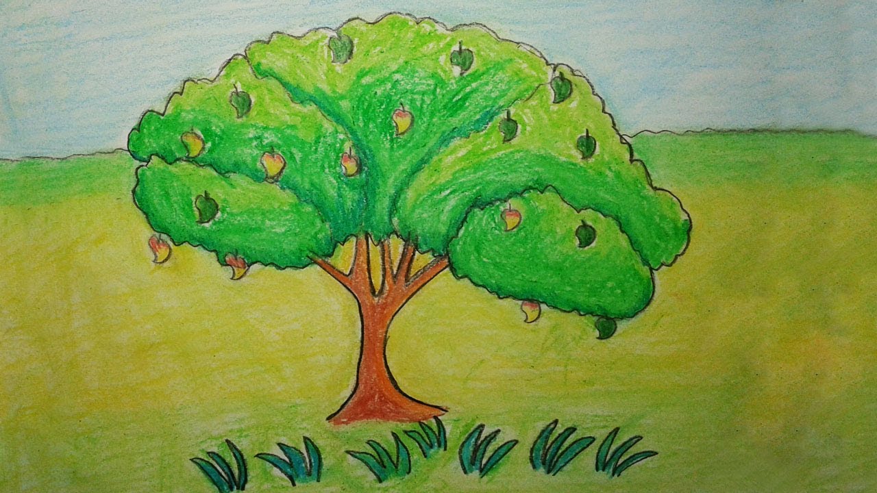 How to Draw Mango tree Very easy Drawing Mango tree - YouTube