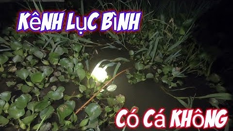 Cắm câu cá lóc mồi nhái trên sông nước lên xuống có dính cá không || catch fishing