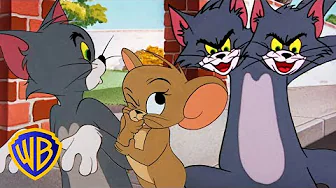 Das Beste vom Kater Tom 🐱💙 | Tom und Jerry auf Deutsch 🇩🇪 | @WBKidsDeutschland