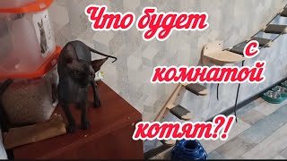 Будут перемены в доме,зачем и почему?!Что начала есть?!/Будни мамы в декрете 22.05.24