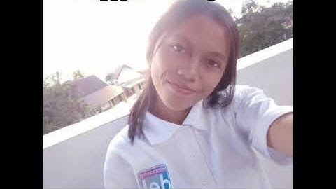 Visualisasi - S1 Sistem Informasi 1 2017