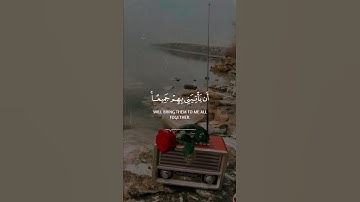 القارئ محمد هشام   سورة يوسف قرآن كريم حالات واتس اب دينية 😍