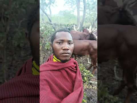 Limbu Luchagula Ujumbe Mayeka Nega