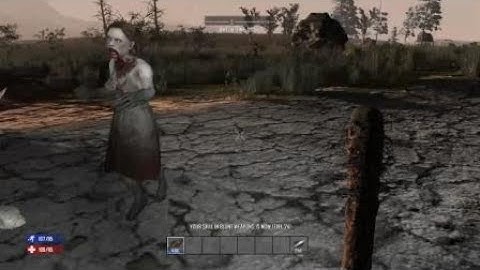 7 Days to Die - screamer