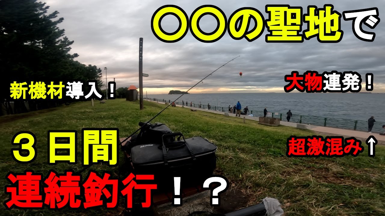 【中古】 三浦半島・湘南・真鶴の釣り場 金沢八景～福浦港/ひかりのくに/ふじせ企画 中古】 三浦半島・湘南・真鶴の釣り場 金沢八景～福浦港