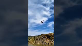 Perfect landing #funny #laughtrip #KaTribu