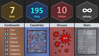 Celebrity How Many Things on Earth Net Worth