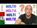 Questa lezione è MOLTO importante! | Come usare MOLTO, MOLTA, MOLTI e MOLTE in italiano