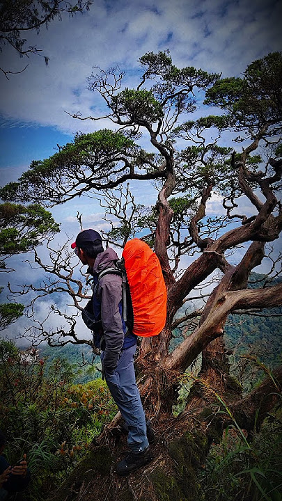 banyakin duit aja dulu#fypshorts #fyp #videoshort #shorts #katakatabijak