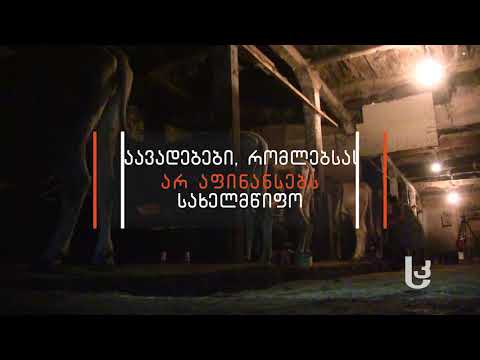 პროფილაქტიკური ღონისძიებები ცხოველთა ბარში გადმორეკვისას