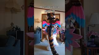 Forget adulting, become cat