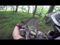 TRX 450 trail riding