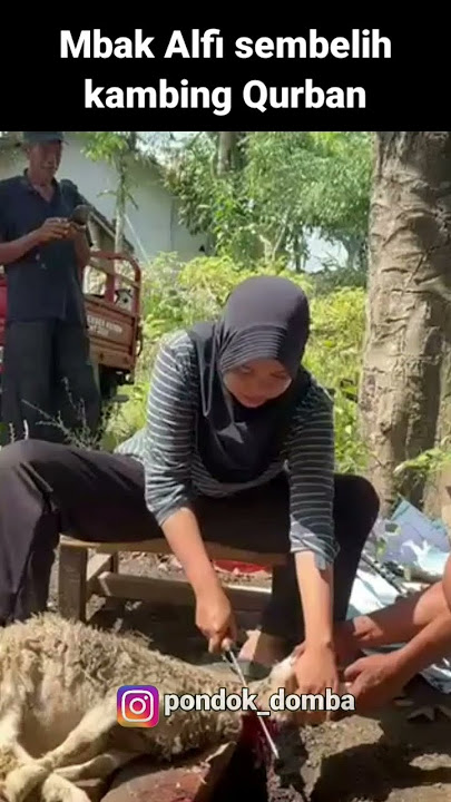 Mbak Alfi, Sembelih Kambing Qurban lagi