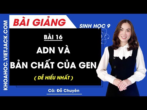 Video: ADN ngưng tụ thành nhiễm sắc thể ở pha nào?