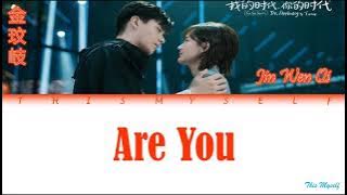 Jin Wen Qi (金玟岐) - Are You [Go Go Squid 2 Dt - AppleDog's Time (我的時代, 你的時代) OST]