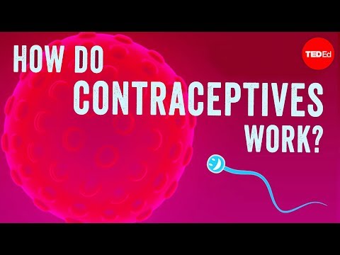 How do contraceptives work? - NWHunter