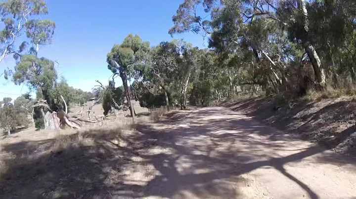 Bugle Rangers/Mount Barker
