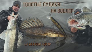 ТОЛСТЫЕ СУДАКИ на ВОБЛЕР LJ MEDJERK 130SP. Ноябрь. Кама