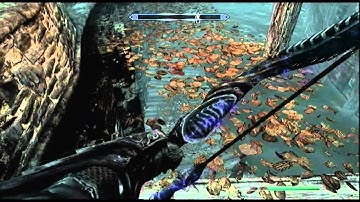 Skyrim - Riften Floor Glitch - Gravity has no effect in Skyrim