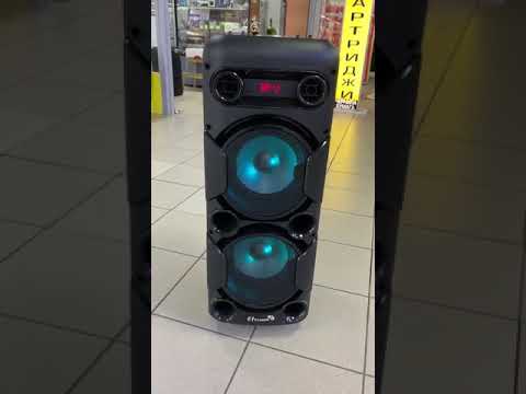 ELtronic EL10 22 видеообзор колонки