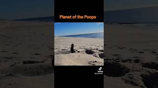 Planet of the Poops #funny #planetoftheapes #parody #comedy