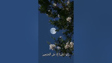 واستعينوا بالصبر والصلاة للقارئ عبدالرحمن مسعد  / تلاوة هادئة 🌿